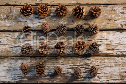 Directly abvoe shot of various pine cones