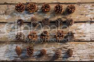 Directly abvoe shot of various pine cones