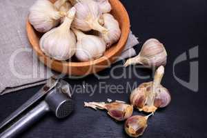 Fresh garlic in the husk