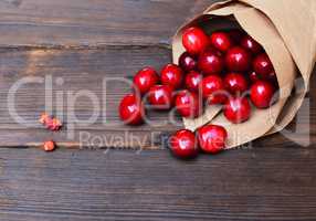 Red cherry in a paper bag