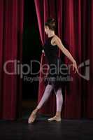 Ballerina performing ballet dance on stage