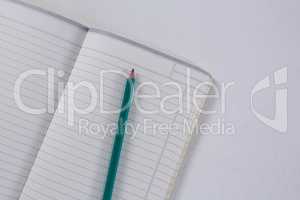 Overhead of pencil on open diary