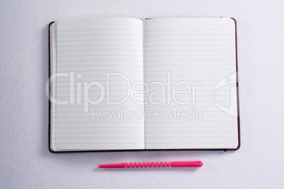 Overhead of pen and open diary
