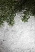 Branches of fir trees in the snow