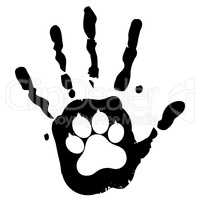 dog pet animal paw care logo template, vector illustration concept for animal business services