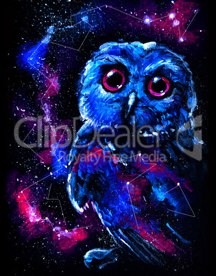 Space Owl