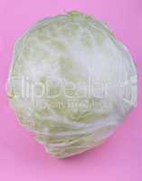 Head of White Cabbage on Pink Background