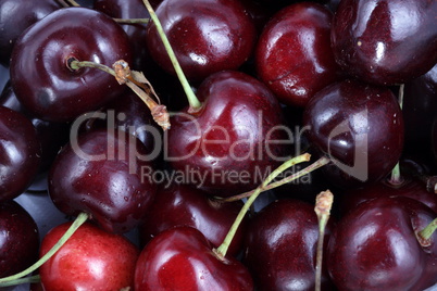 many sweet cherry at day