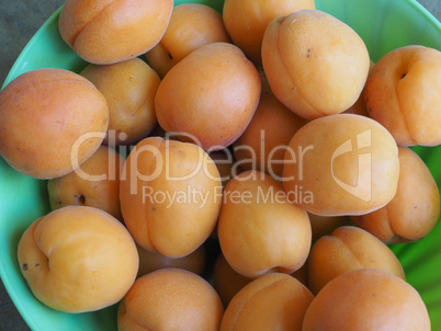 apricot fruit food
