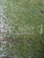 hail in stormy weather