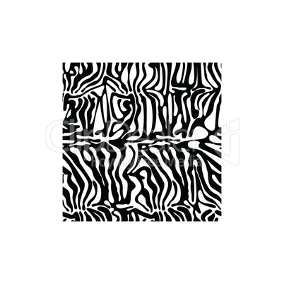 Zebra square texture fabric style vector for tattoo, T-shirts, logo