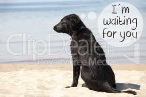 Dog At Sandy Beach, Text I Am Waiting For You