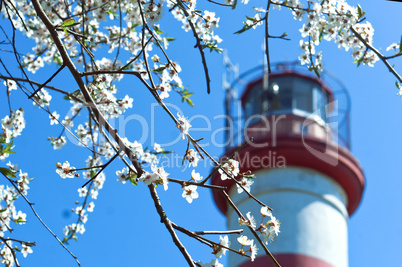lighthouse, navigation mark, red-white, flowers, tree, spring