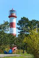 lighthouse, navigation mark, red-white, flowers, tree, spring