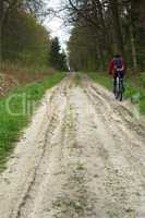 cyclist, forest, walk, travel, adventure, trail, healthy, life, grade, activity