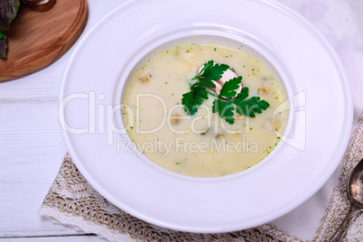 mushroom soup in a white round plate