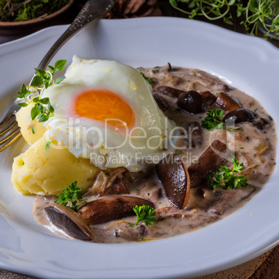 Forest mushroom sauce with fresh mushrooms, potato and poached e