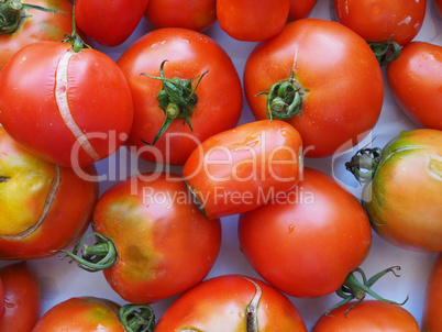 tomato vegetables food