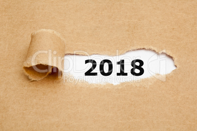 Year 2018 Torn Paper Concept