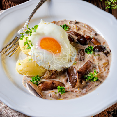 Forest mushroom sauce with fresh mushrooms, potato and poached e