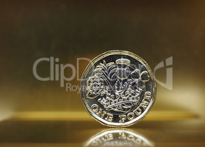 1 pound coin, United Kingdom over gold