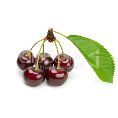 cherries isolated on white background