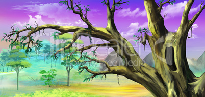 African Tree with Big Hollow against Purple Sky