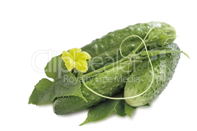 Cucumbers on a wooden table.