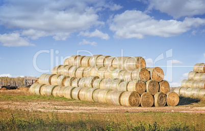 Hay bales for animal feed.