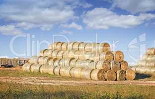 Hay bales for animal feed.