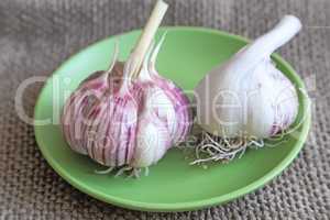 Garlic on the table on a plate