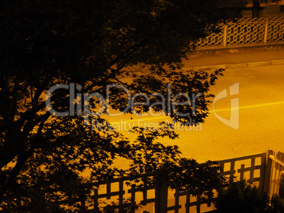 silhouette of tree leaves with copy space