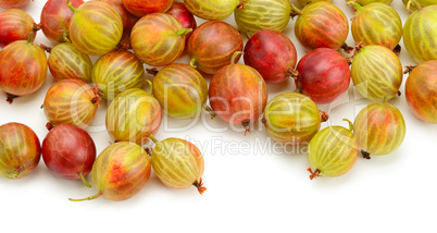 Big ripe gooseberries isolated on a white