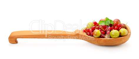 Gooseberries and red currants in wooden spoon isolated on white