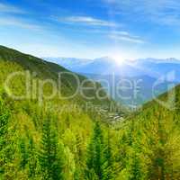 Dawn in the picturesque mountains covered with forests