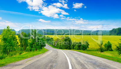 Rural paved road among fields