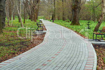 path, park, grass, walk, beautiful, lawn, landscape, road