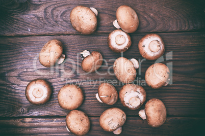 Fresh mushrooms champignons