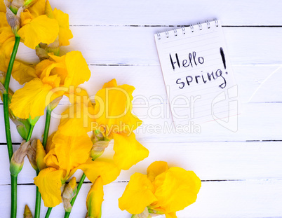 bouquet of yellow irises