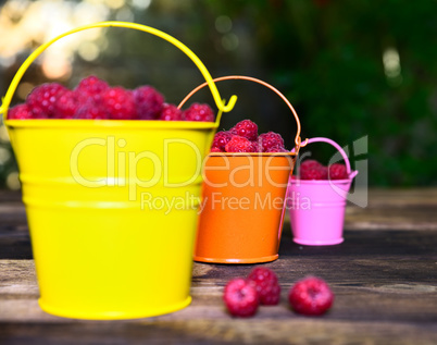 ripe red raspberries