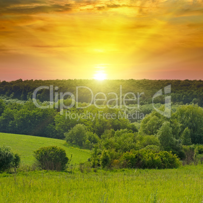 Green fields and bright sunrise