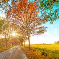 autumn in East Frisia