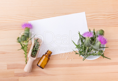 Milk thistle