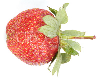 one raw red Strawberry