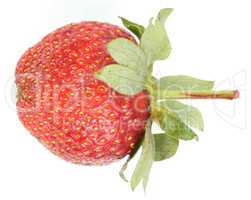 one raw red Strawberry