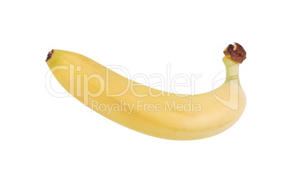 raw Yellow Banana Isolated