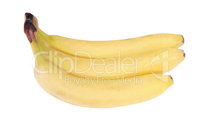 many yellow banana isolated