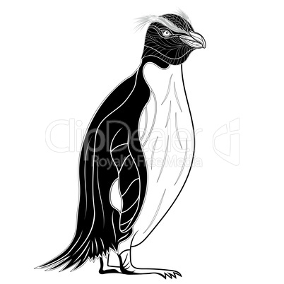 Penguin emperor bird head as symbol for mascot or emblem design, vector illustration for t-shirt. Sketch tattoo design.