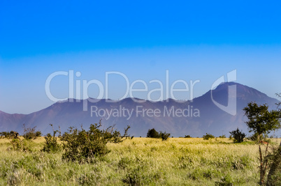 View of the Tsavo East savannah in Kenya