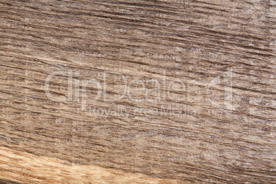 Old scratched wood bog oak . Texture.